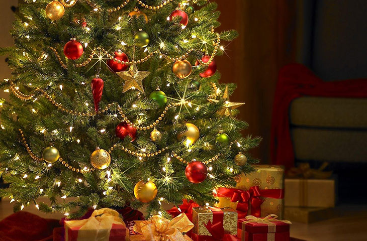 19 декабря зажжется новогодняя елка. Мэрия Бишкека обещает сюрпризы